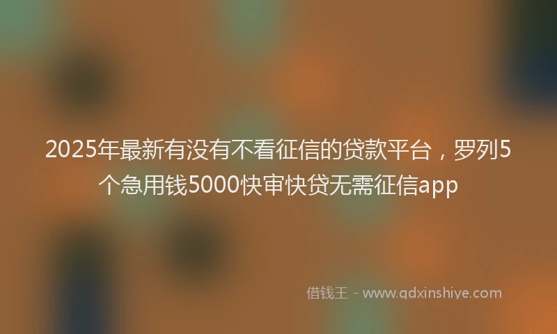 2025年最新有没有不看征信的贷款平台，罗列5个急用钱5000快审快贷无需征信app