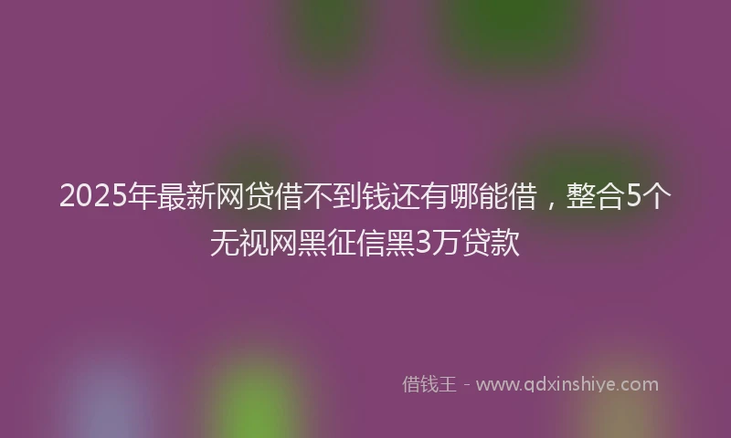 2025年最新网贷借不到钱还有哪能借，整合5个无视网黑征信黑3万贷款