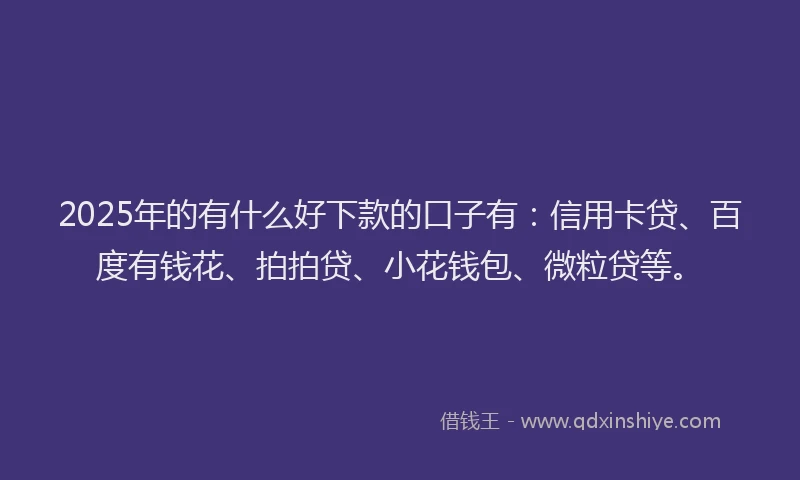 2025年的有什么好下款的口子有：信用卡贷、百度有钱花、拍拍贷、小花钱包、微粒贷等。