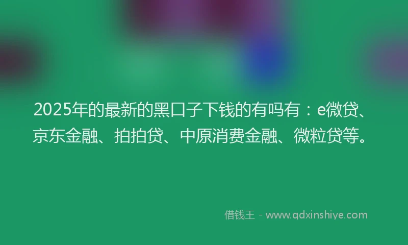 2025年的最新的黑口子下钱的有吗有：e微贷、京东金融、拍拍贷、中原消费金融、微粒贷等。