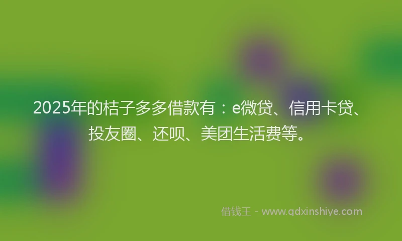 2025年的桔子多多借款有：e微贷、信用卡贷、投友圈、还呗、美团生活费等。