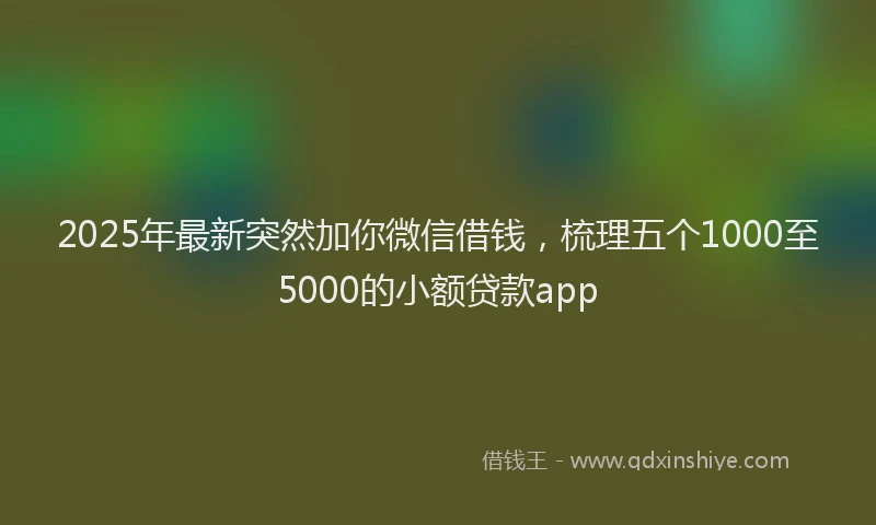 2025年最新突然加你微信借钱，梳理五个1000至5000的小额贷款app
