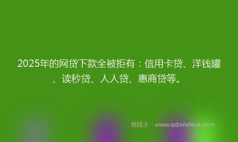 2025年的网贷下款全被拒有：信用卡贷、洋钱罐、读秒贷、人人贷、惠商贷等。