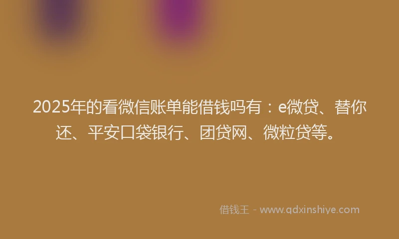 2025年的看微信账单能借钱吗有：e微贷、替你还、平安口袋银行、团贷网、微粒贷等。