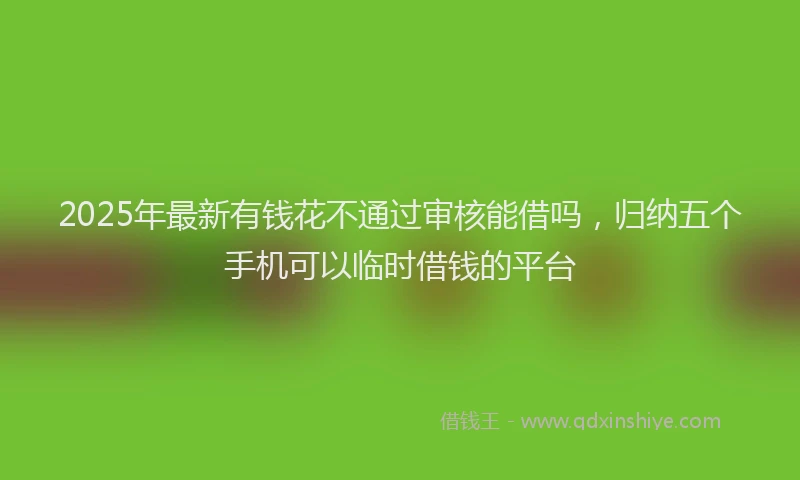 2025年最新有钱花不通过审核能借吗，归纳五个手机可以临时借钱的平台