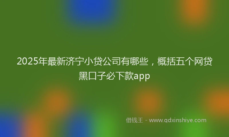 2025年最新济宁小贷公司有哪些，概括五个网贷黑口子必下款app