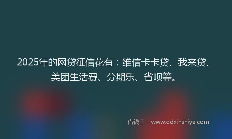 2025年的网贷征信花有：维信卡卡贷、我来贷、美团生活费、分期乐、省呗等。