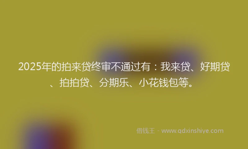 2025年的拍来贷终审不通过有：我来贷、好期贷、拍拍贷、分期乐、小花钱包等。