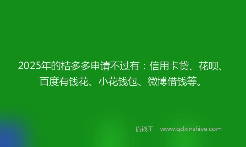 2025年的桔多多申请不过有：信用卡贷、花呗、百度有钱花、小花钱包、微博借钱等。