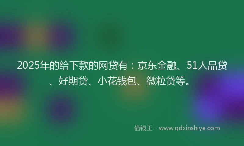 2025年的给下款的网贷有：京东金融、51人品贷、好期贷、小花钱包、微粒贷等。