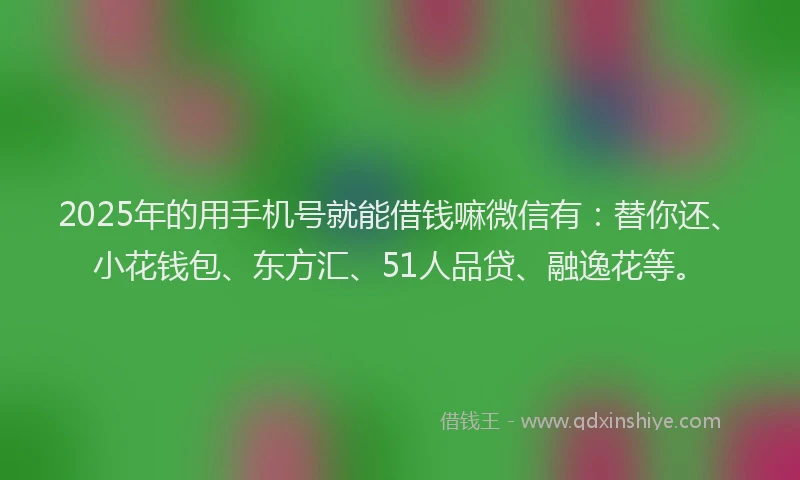 2025年的用手机号就能借钱嘛微信有：替你还、小花钱包、东方汇、51人品贷、融逸花等。