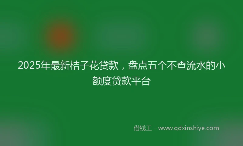 2025年最新桔子花贷款，盘点五个不查流水的小额度贷款平台