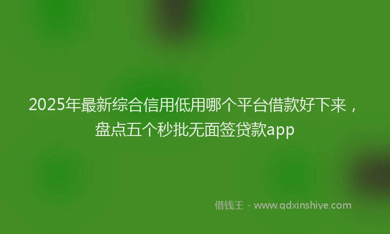 2025年最新综合信用低用哪个平台借款好下来，盘点五个秒批无面签贷款app