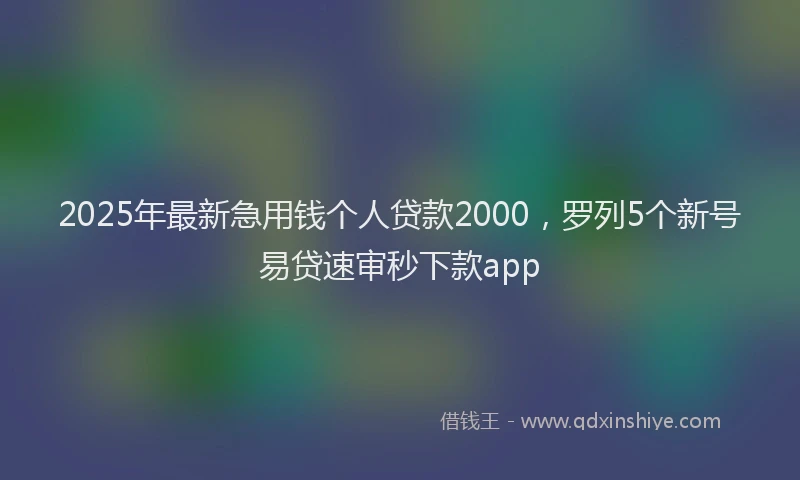 2025年最新急用钱个人贷款2000，罗列5个新号易贷速审秒下款app