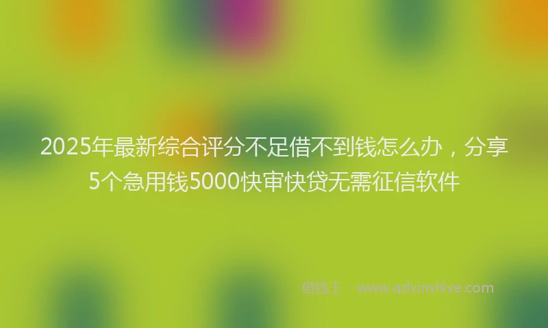 2025年最新综合评分不足借不到钱怎么办，分享5个急用钱5000快审快贷无需征信软件