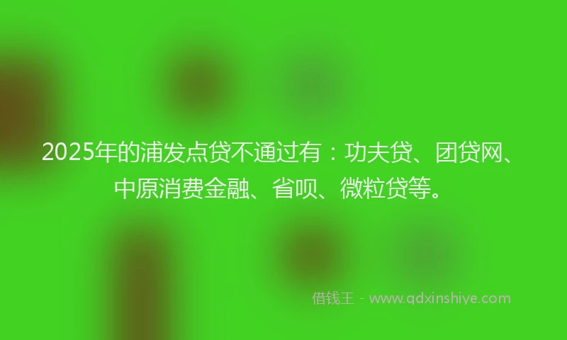 2025年的浦发点贷不通过有：功夫贷、团贷网、中原消费金融、省呗、微粒贷等。