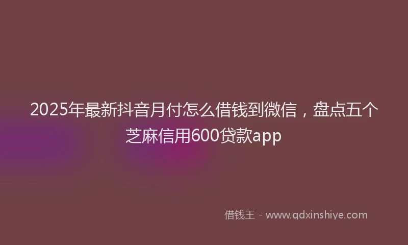 2025年最新抖音月付怎么借钱到微信，盘点五个芝麻信用600贷款app