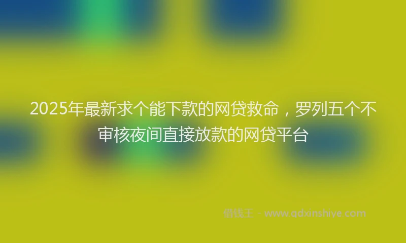 2025年最新求个能下款的网贷救命，罗列五个不审核夜间直接放款的网贷平台