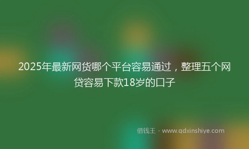 2025年最新网货哪个平台容易通过，整理五个网贷容易下款18岁的口子