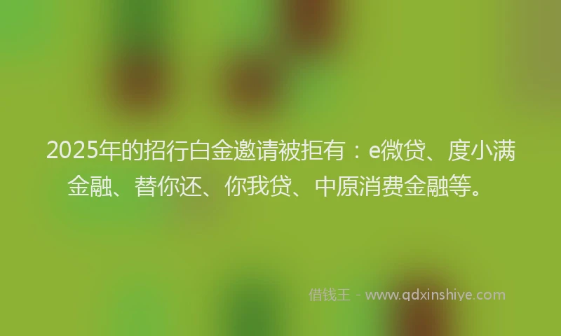 2025年的招行白金邀请被拒有：e微贷、度小满金融、替你还、你我贷、中原消费金融等。