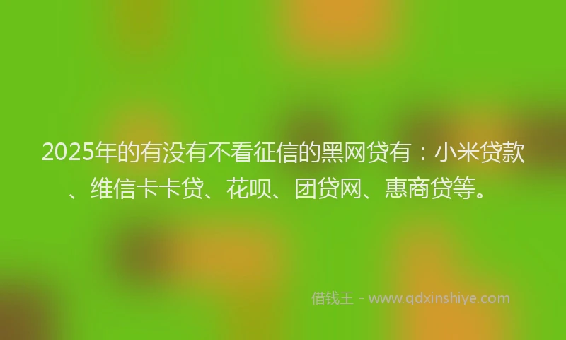 2025年的有没有不看征信的黑网贷有：小米贷款、维信卡卡贷、花呗、团贷网、惠商贷等。