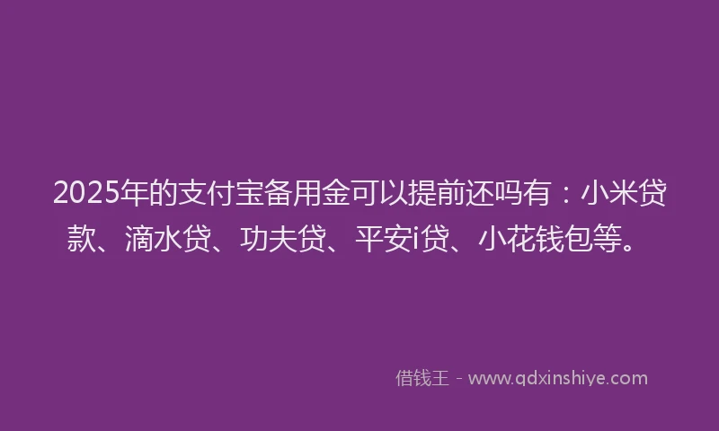 2025年的支付宝备用金可以提前还吗有：小米贷款、滴水贷、功夫贷、平安i贷、小花钱包等。