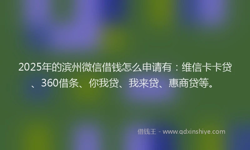 2025年的滨州微信借钱怎么申请有：维信卡卡贷、360借条、你我贷、我来贷、惠商贷等。