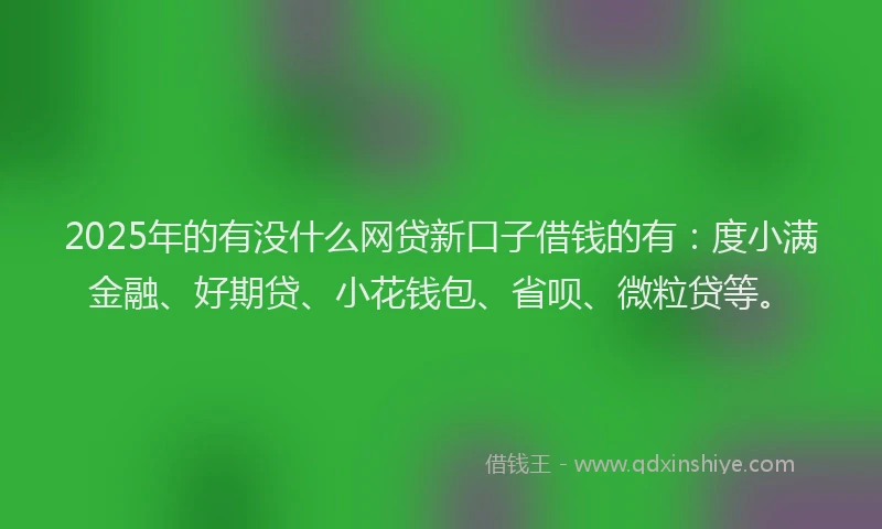 2025年的有没什么网贷新口子借钱的有：度小满金融、好期贷、小花钱包、省呗、微粒贷等。