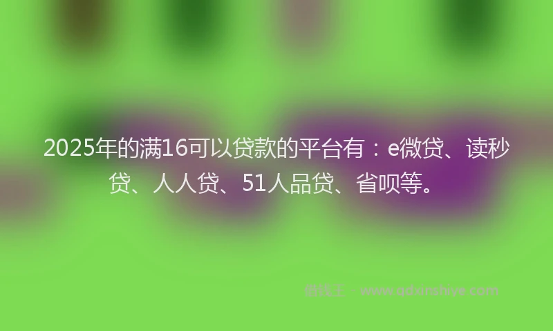 2025年的满16可以贷款的平台有：e微贷、读秒贷、人人贷、51人品贷、省呗等。