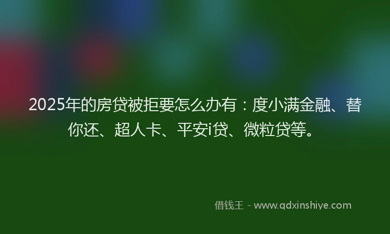 2025年的房贷被拒要怎么办有：度小满金融、替你还、超人卡、平安i贷、微粒贷等。