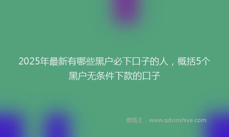 2025年最新有哪些黑户必下口子的人，概括5个黑户无条件下款的口子