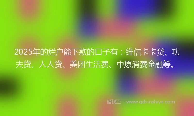 2025年的烂户能下款的口子有：维信卡卡贷、功夫贷、人人贷、美团生活费、中原消费金融等。