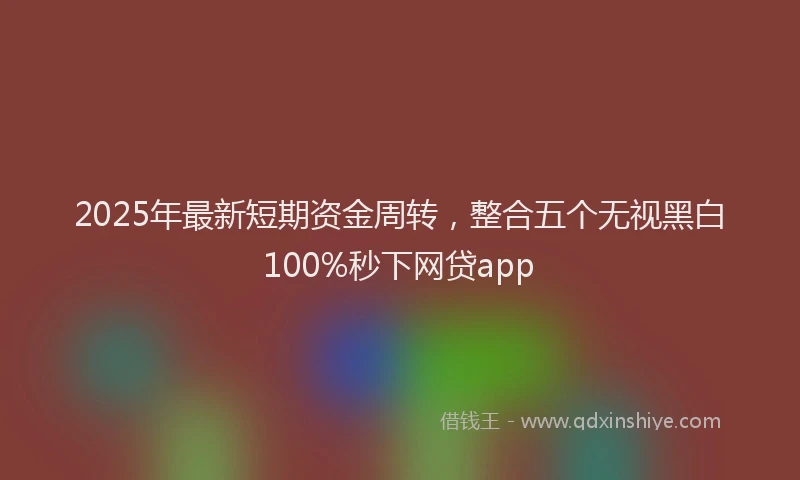 2025年最新短期资金周转,整合五个无视黑白100%秒下网贷app