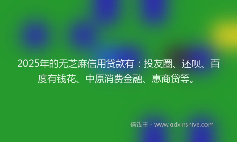 2025年的无芝麻信用贷款有：投友圈、还呗、百度有钱花、中原消费金融、惠商贷等。