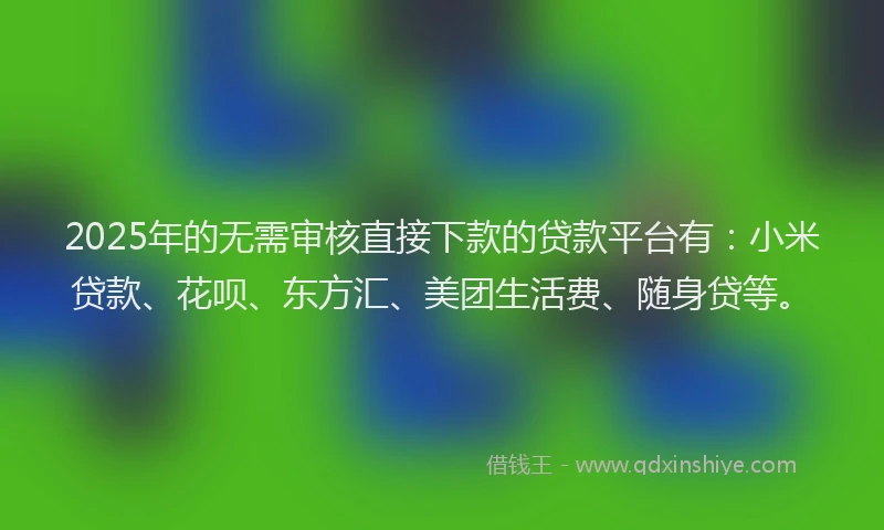 2025年的无需审核直接下款的贷款平台有：小米贷款、花呗、东方汇、美团生活费、随身贷等。