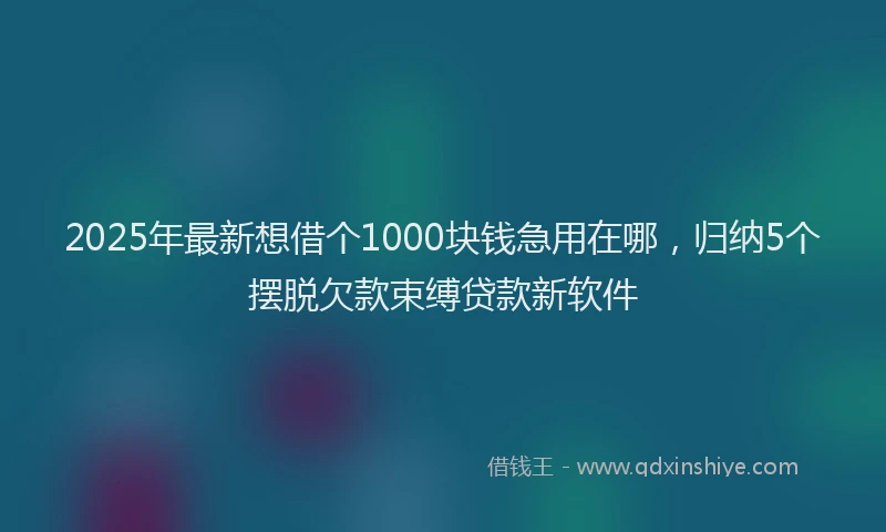 2025年最新想借个1000块钱急用在哪，归纳5个摆脱欠款束缚贷款新软件