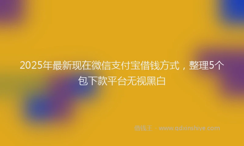 2025年最新现在微信支付宝借钱方式，整理5个包下款平台无视黑白