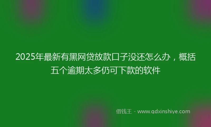2025年最新有黑网贷放款口子没还怎么办，概括五个逾期太多仍可下款的软件