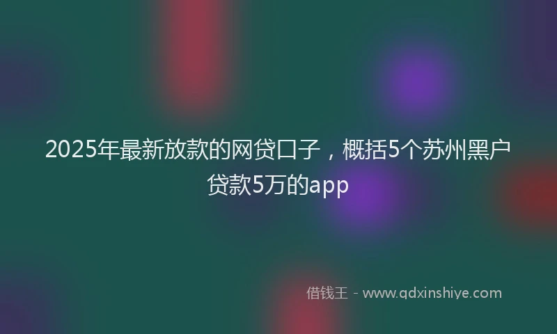 2025年最新放款的网贷口子，概括5个苏州黑户贷款5万的app