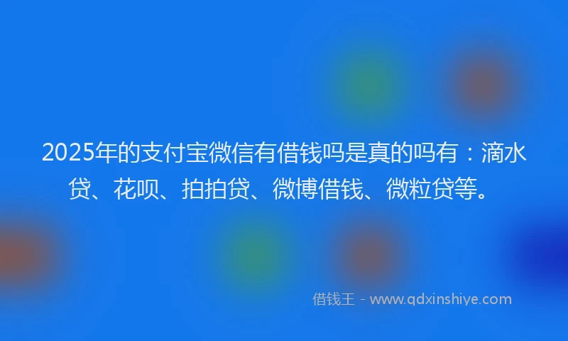 2025年的支付宝微信有借钱吗是真的吗有：滴水贷、花呗、拍拍贷、微博借钱、微粒贷等。