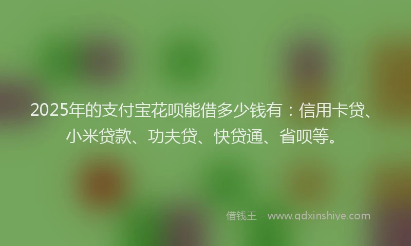 2025年的支付宝花呗能借多少钱有：信用卡贷、小米贷款、功夫贷、快贷通、省呗等。