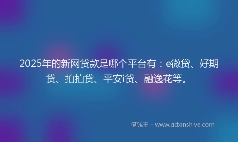 2025年的新网贷款是哪个平台有：e微贷、好期贷、拍拍贷、平安i贷、融逸花等。