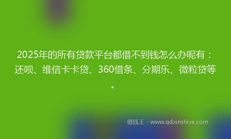 2025年的所有贷款平台都借不到钱怎么办呢有：还呗、维信卡卡贷、360借条、分期乐、微粒贷等。