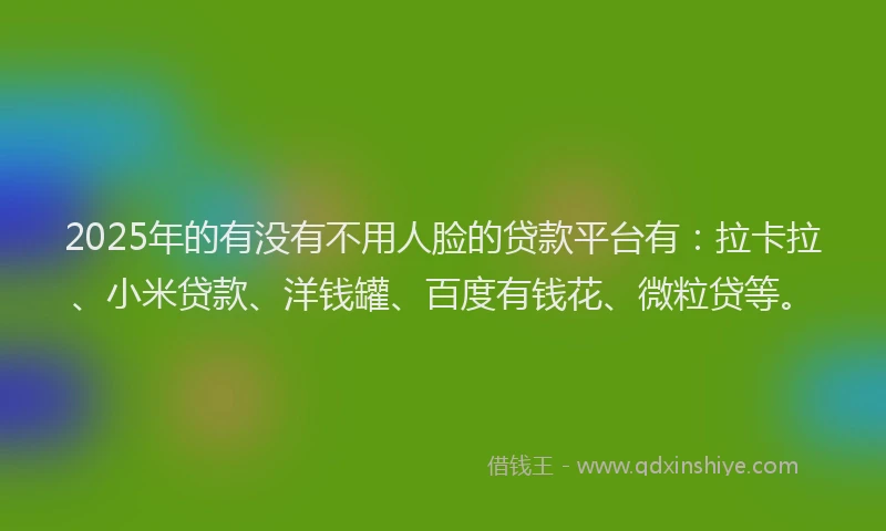 2025年的有没有不用人脸的贷款平台有：拉卡拉、小米贷款、洋钱罐、百度有钱花、微粒贷等。