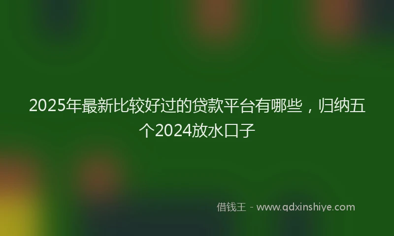 2025年最新比较好过的贷款平台有哪些，归纳五个2024放水口子