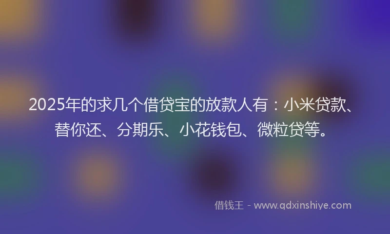 2025年的求几个借贷宝的放款人有：小米贷款、替你还、分期乐、小花钱包、微粒贷等。