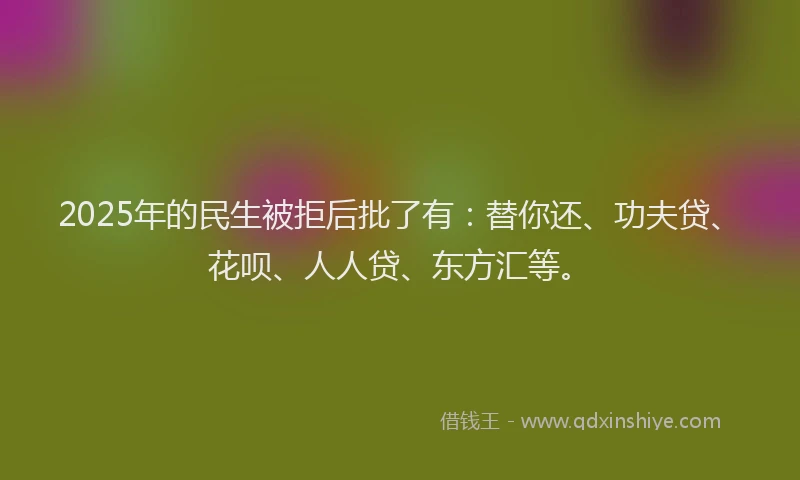 2025年的民生被拒后批了有：替你还、功夫贷、花呗、人人贷、东方汇等。