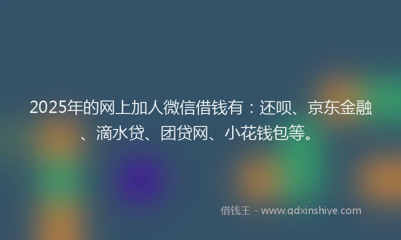 2025年的网上加人微信借钱有:还呗、京东金融、滴水贷、团贷网、小花钱包等。