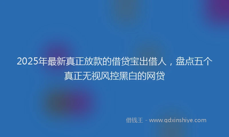 2025年最新真正放款的借贷宝出借人，盘点五个真正无视风控黑白的网贷