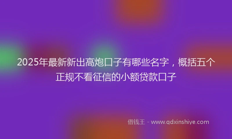 2025年最新新出高炮口子有哪些名字，概括五个正规不看征信的小额贷款口子